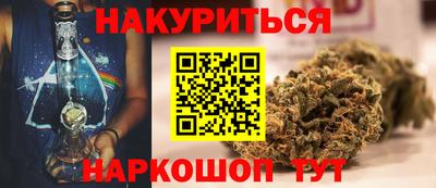 сатива Моздок