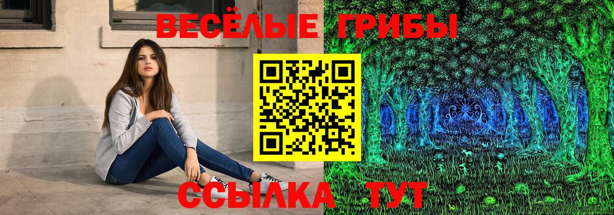 Псилоцибиновые грибы прущие грибы Великий Устюг