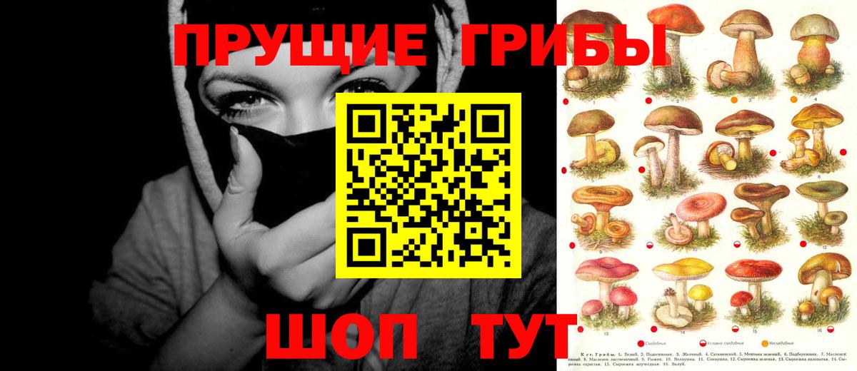 Псилоцибиновые грибы мицелий  Вход с VPN  Великий Устюг 